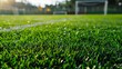 Close-up of a soccer field with vibrant green grass