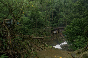 Meghalaya's Monsoon Magic: Living Bridges, Milky Way, Waterfalls, Flora and Fauna