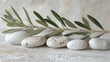 An artistic photo featuring an olive branch surrounded by white stones