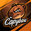 Capybara head esport mascot logo design