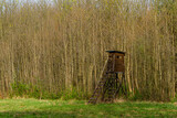 Fototapeta Tulipany - Ambona myśliwska drewniana konstrukcja do polowania na dziką zwierzynę