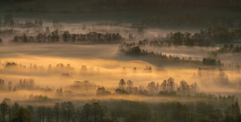 Wall Mural - misty landscape of a mountain valley.,karkonosze,poland