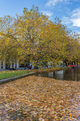 Dublin, Ireland - November 6 2023 'Dublin's streets during the late autumn