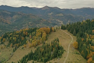 Wall Mural - Aerial view of beautiful mountain forest with countryside road on autumn day
