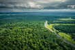 Aerial view of the forest and river,  View from above