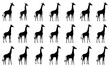 Minimalist Giraffe standing silhouette set Collection vector graphic element illustration on isolated background