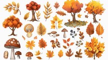 A Collection Of Autumn Leaves And Mushrooms