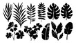 Set of black silhouettes of leaves and flowers. Vector illustration.	
