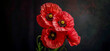 Three red poppy flowers are in a vase