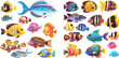 Goldfishes, tetra, barb, angelfish and lionfish. Small freshwater fish pets vector set