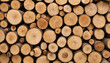 Stack of wooden stumps in cross section texture background