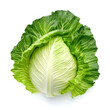 Fresh green chinese cabbage isolated on white background. Top view.