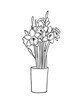 Vector illustration - ink sketch with narcissus flowers in vase. Art for for prints, wall art, banner, background