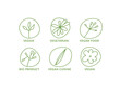 Vector linear icons set for vegan food diet. Marks for different products and dishes