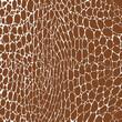 Brown crocodile print pattern seamless. Crocodile skin abstract for printing, crafts, home decorate and more.