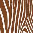 Brown zebra print pattern animal seamless. Zebra skin abstract for printing, cutting, crafts, stickers, web, cover, cover page, wallpaper and more.
