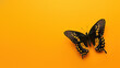 An awe-inspiring image of a Swallowtail Butterfly with dark tones on a monotone yellow background