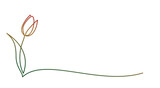 Fototapeta Koty - The one line symbol of a tulip flower. 
