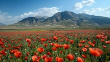 AI Generated Illustration Of Vibrant Red Wildflowers Bloom In The Mountain Meadow
