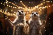 Meerkats standing on hind legs with a backdrop of shimmering lights.