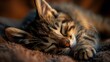 AI generated illustration of Striped kitten naps peacefully on a sunlit blanket