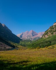 Wall Mural - Vertical shot of rocky mountains in a forest in summer on a bright sunny day