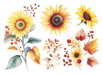 Wall Mural - Sunflowers watercolor bouquet with wild flower isolated white background.