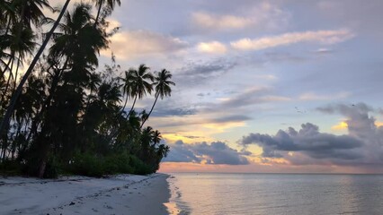 Wall Mural - Coconut palm trees on empty tropical beach during sunset with calm ocean and crabs near the water