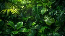 A Lush Green Jungle With Many Leaves And Plants. The Leaves Are Wet And Shiny, And The Sunlight Is Shining Through The Trees. The Jungle Is Full Of Life And Energy, And It Feels Like A Peaceful