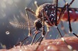 Macro shot of a dangerous Zika-infected mosquito biting human skin, illustrating the risk of transmitting diseases like Malaria, Dengue, and Yellow Fever