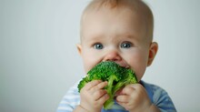 A Funny Portrait Of A Baby Boy Eating Broccoli On An Isolated White Background.