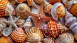 Grouped Sea Shells and Starfish