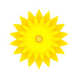 Beautiful sunflower icon, abstract natural floral background. Vector illustration