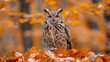 Owl Perched on Pile of Leaves