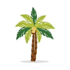 Wall Mural - palm tree illustration