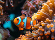 A stunning close-up shot of a colorful clown fish swimming in a coral reef ecosystem