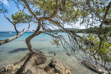 Wall Mural - Beautiful Notre Dame beach (Plage Notre-Dame) on Porquerolles island (l'île de Porquerolles), France