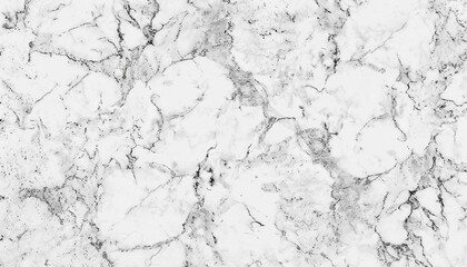 white & grey background High quality photo