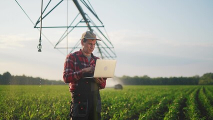 Sticker - corn agriculture. a male farmer works on a laptop in a field with green corn sprouts. corn is watered by irrigation machine sunlight. irrigation agriculture business concept