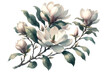 Magnolia branch with flowers and buds
