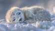   A baby seal naps atop a snowdrift, eyes closed, head atop piles of white, fluffy snow