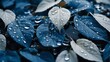 Blue and White Leaves with Water Droplets, To provide a high-quality and artistic photograph of leaves with water droplets.