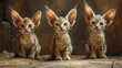 Adorable felines with large ears sit