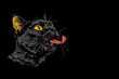 Black cat with tongue out and funny crossed eyes, perfect for humorous content