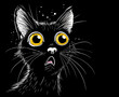 Startled cat with wide eyes and a whimsical expression on a black background