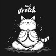 Cartoon cat in a yoga pose with paws together on a black background