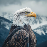 Fototapeta  - Majestic eagle staring regally with snow-capped mountains in the backdrop