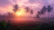 A sight of coconut plantation during a misty dawn