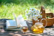 glass teapot, cup with herbal tea, Chamomile flowers in basket and books on table in garden. Summer nature background. relax, reading time. useful calming tea. tea party