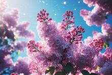 Spring Branch Of Blossoming Lilacs Against Blue Sky Background.